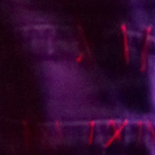 Culo @ 5 Star 12-17-16, No Photos posted by Request of Band